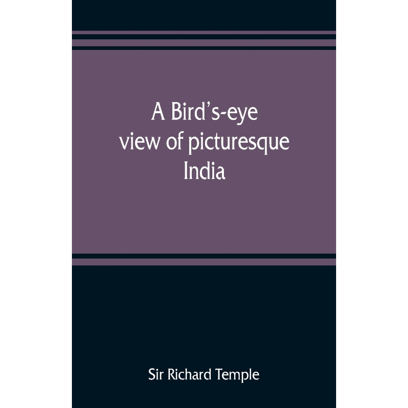 按需印刷A bird's-eye view of picturesque India[9789353808822]