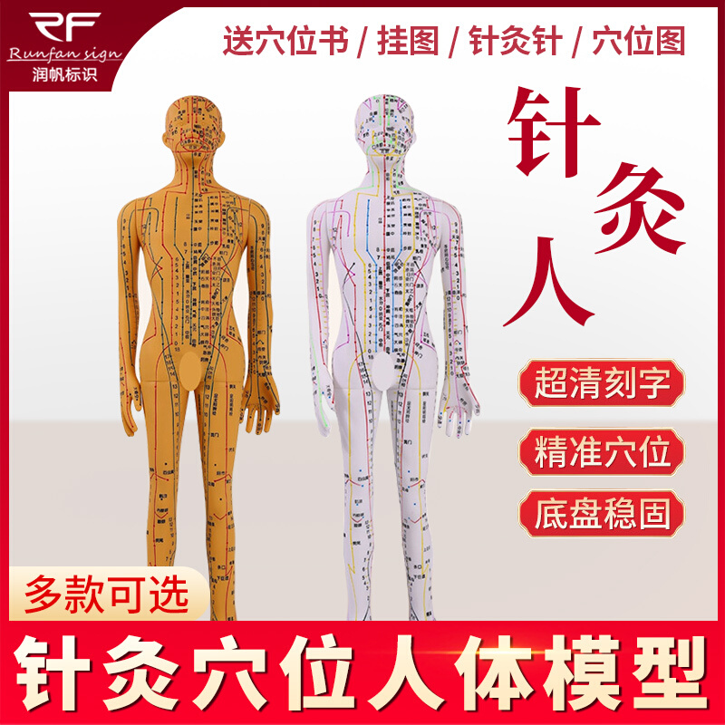中医针灸穴位人体模型可扎针经络全身大图小铜人模特真人十二人形