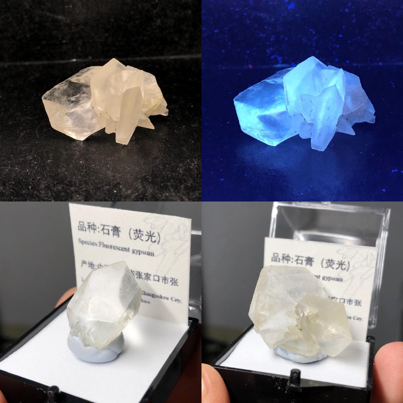 荧光透石膏天然矿物晶体标本盒子猫矿石能量石晶宝石地质科普教学