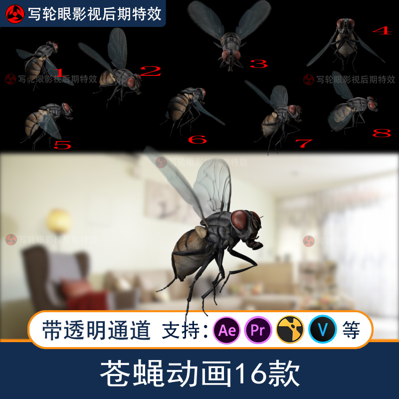 苍蝇动画视频素材昆虫广告影视CG三维动画素材带透明通道alpha
