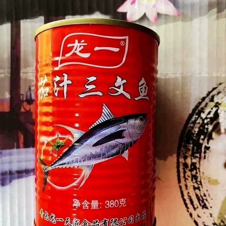 龙一茄汁鲭鱼/三文鱼罐头方便即食下饭熟食