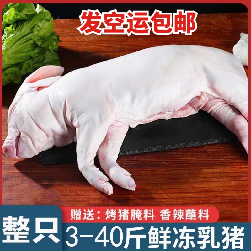 新鲜冷冻现杀小乳猪整只食用脆皮烧烤小耳酒店食材整4~20斤小香猪
