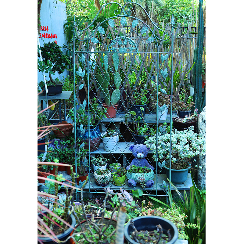 美式做旧铁艺爬藤架庭院装饰室外花卉攀爬植物架阳台花园布置花架