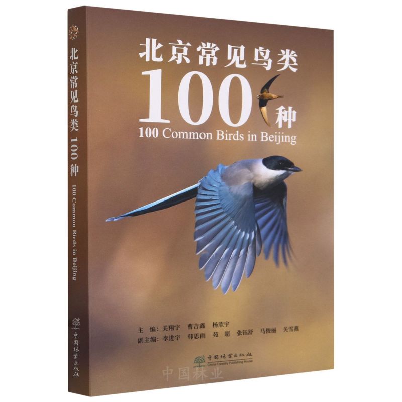 北京常见鸟类100种 2485