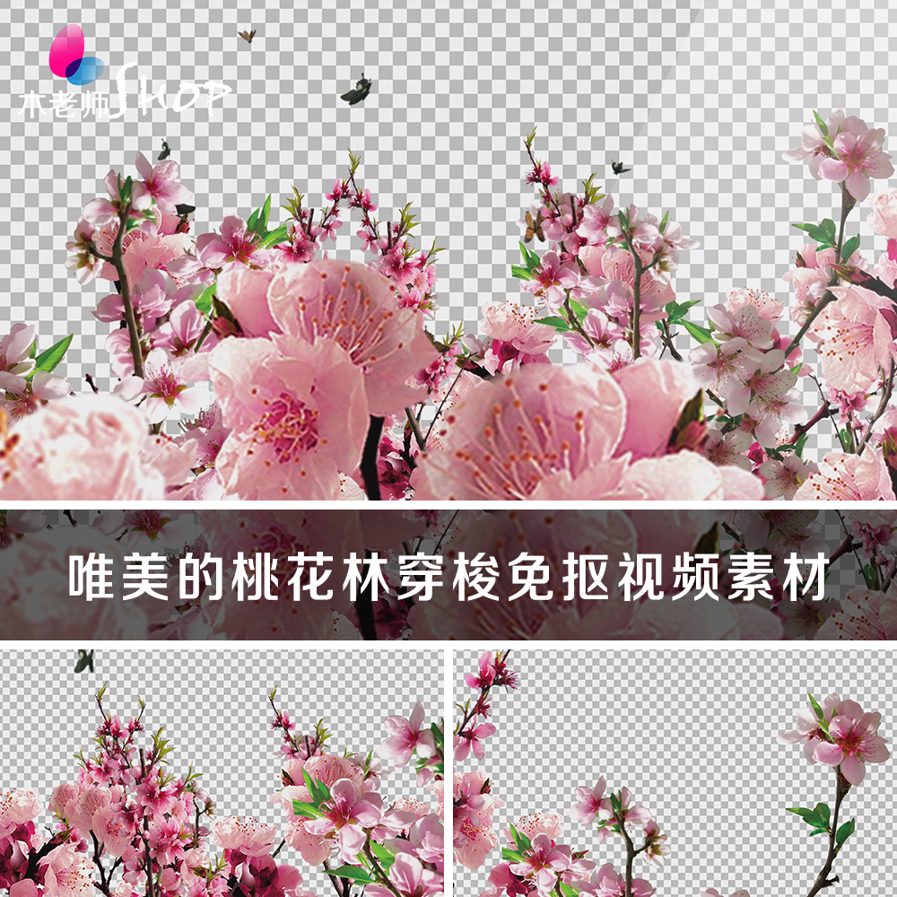 唯美的桃花林穿梭透明通道免抠视频素材春天春季桃花源浪漫花丛林