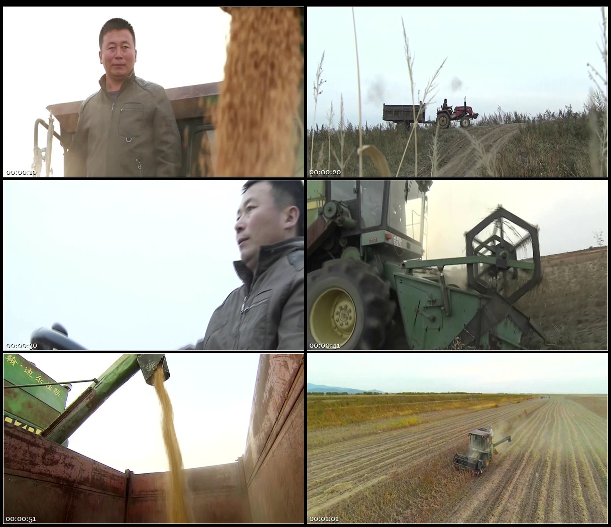 农田机械播种收割黄豆农民整理黄豆开拖拉机高清实拍视频素材