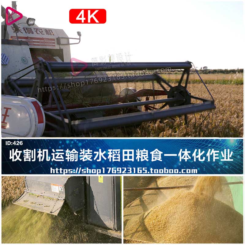 4K航拍秋收稻田里收割稻谷农民收割机水稻粮食一体化作业视频素材