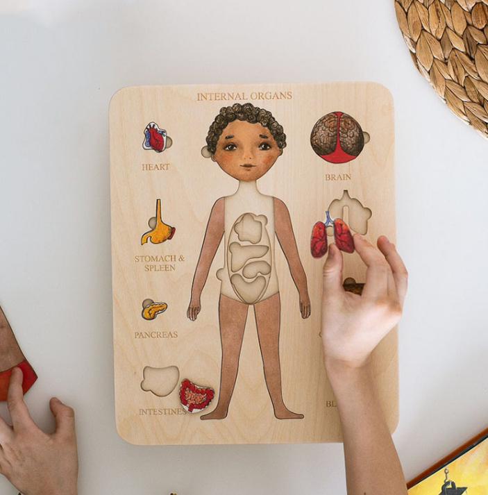 科学启蒙人体结构拼图器官解剖骨骼认知儿童早教身体内脏拼板玩具
