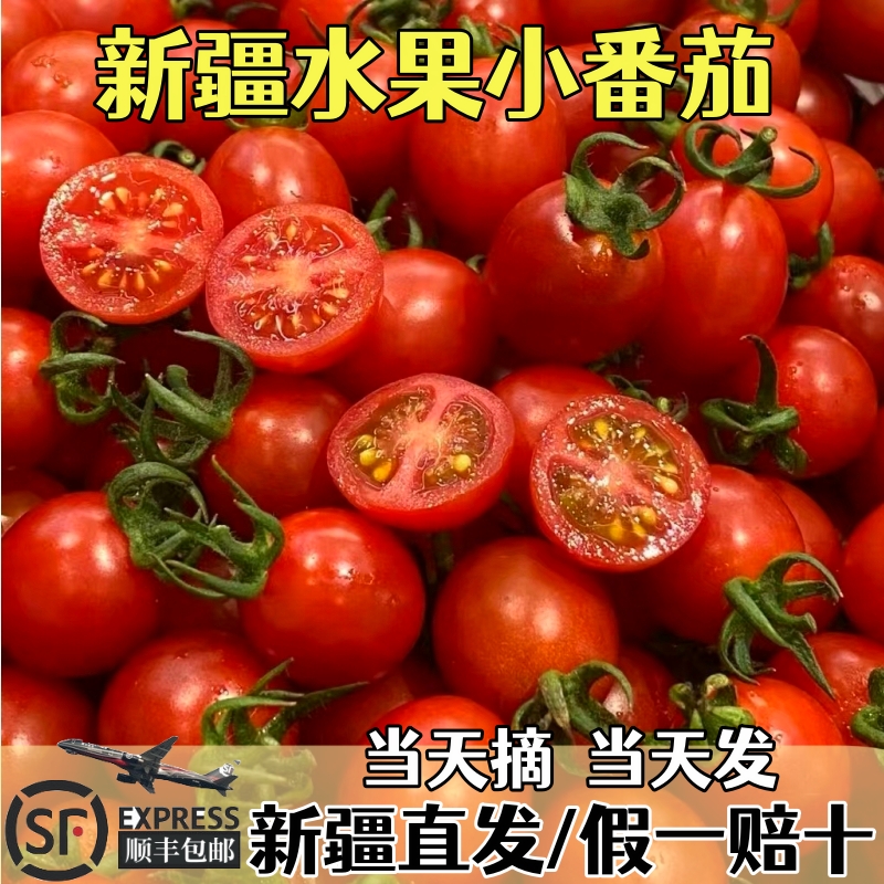 新疆春桃小番茄千禧果超甜番茄圣女果玲珑特甜冰糖水果西红柿生吃