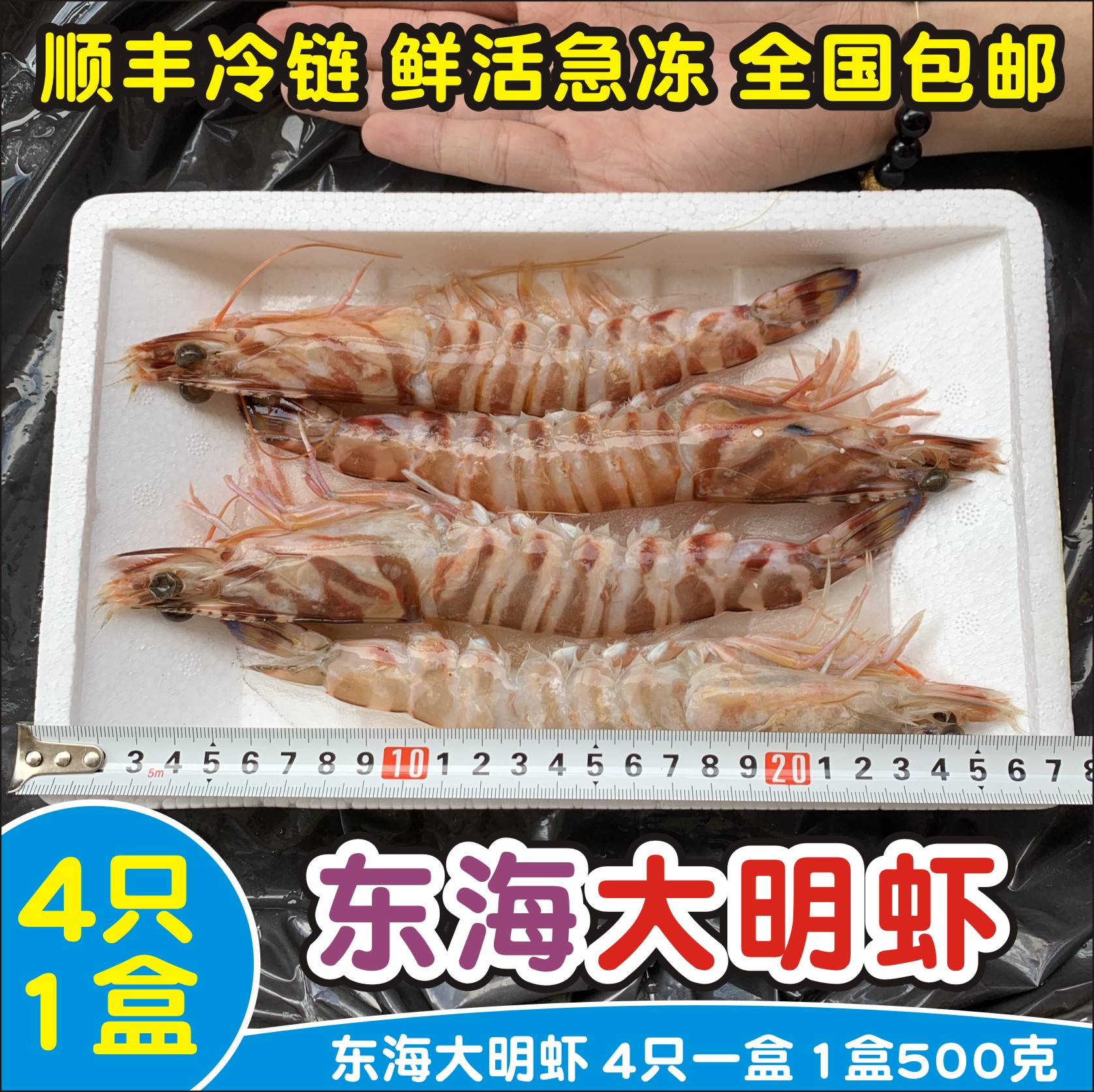 东海鲜活速冻大明虾斑节虾4只1斤海鲜特大对虾黑虎虾顺丰包邮