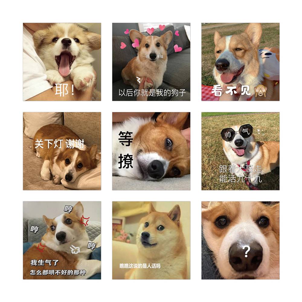 120张狗狗表情包贴纸柯基犬宠物可爱治愈装饰手机壳电脑防水贴画