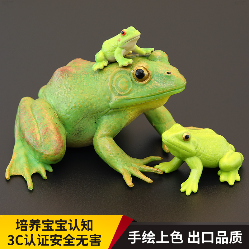 儿童仿真动物玩具野生动物模型实心大号 美洲牛蛙 青蛙 菜蛙 礼物