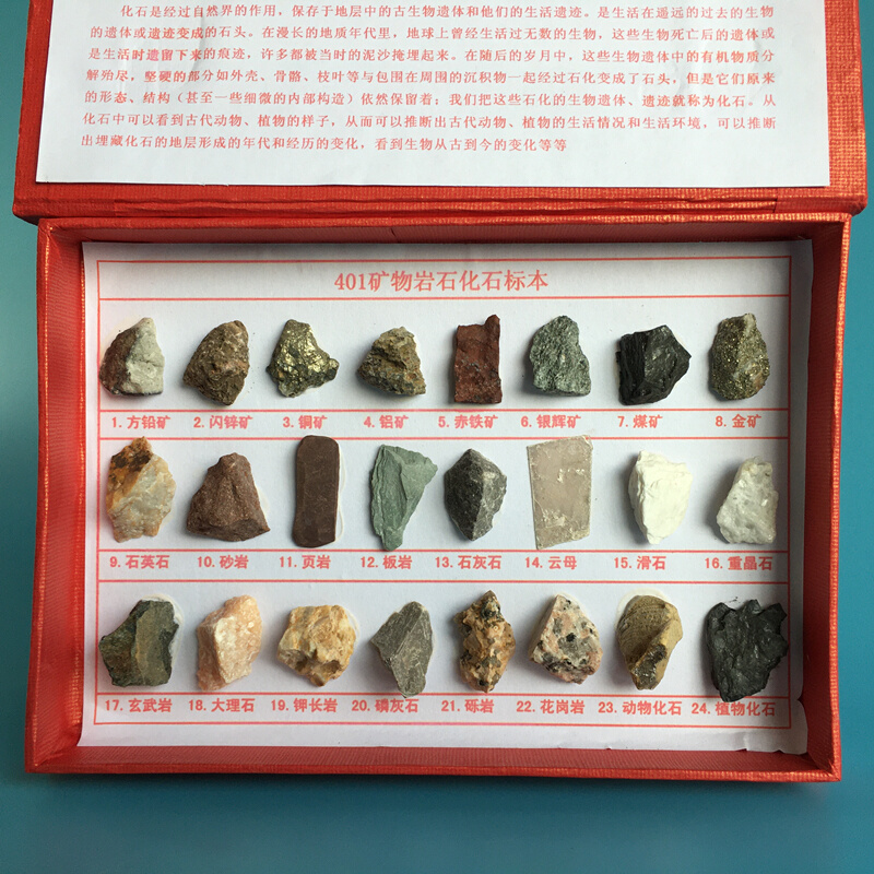 。24种矿物岩石化石标本小学四年级科学实验动植物标本自然地理地