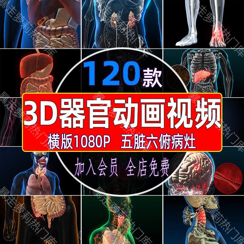 3D医疗科技人体器官动画心脑关节五脏六俯医学演示片高清视频素材