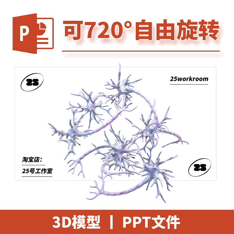 PPT文档神经元系统生物树突轴突解剖3D模型细胞初中教学教材15