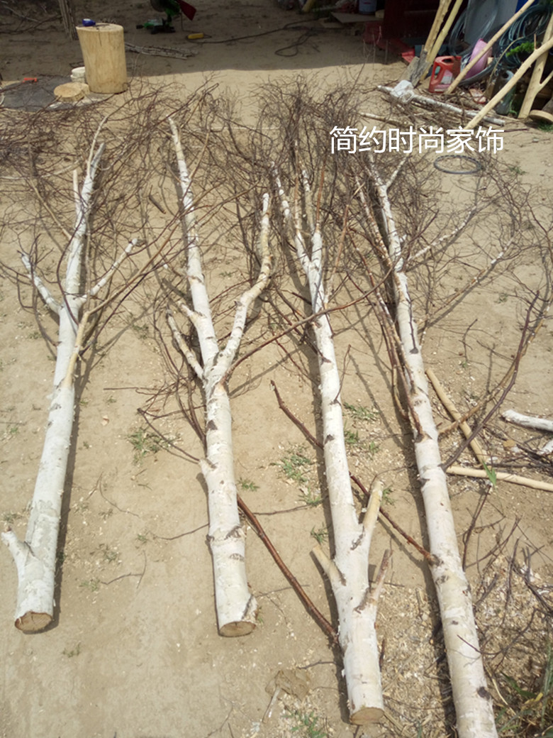 白桦树枝大树杈大树头花艺干枝田园屏风玄关隔断背景墙装饰枯树枝
