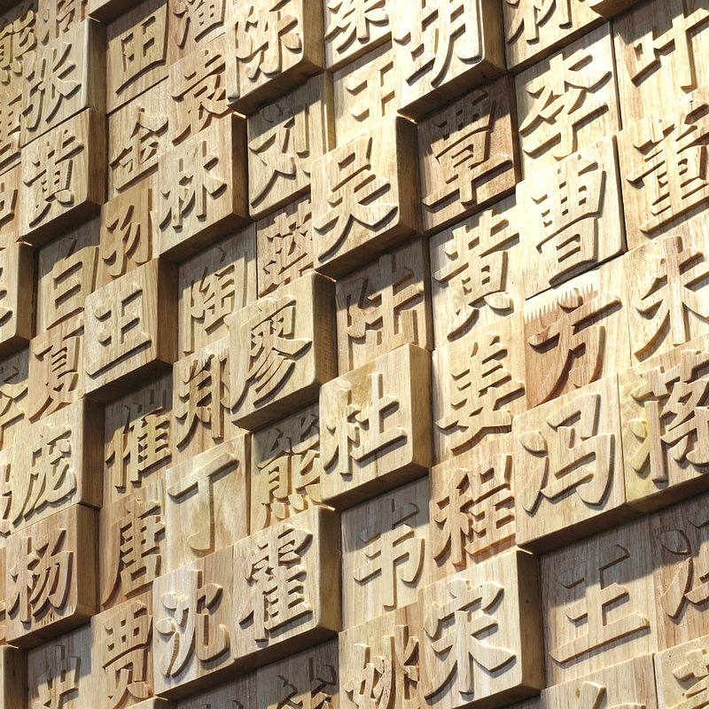 定制浮雕文化墙中式简约凹凸立体木块百家姓文字壁饰活字挂画木雕