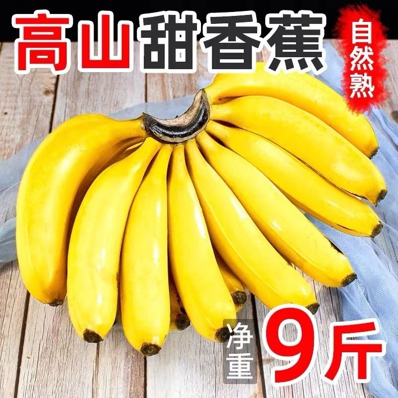 高山甜香蕉新鲜9斤水果当季现摘芭蕉小米蕉大香焦批发整箱自然熟