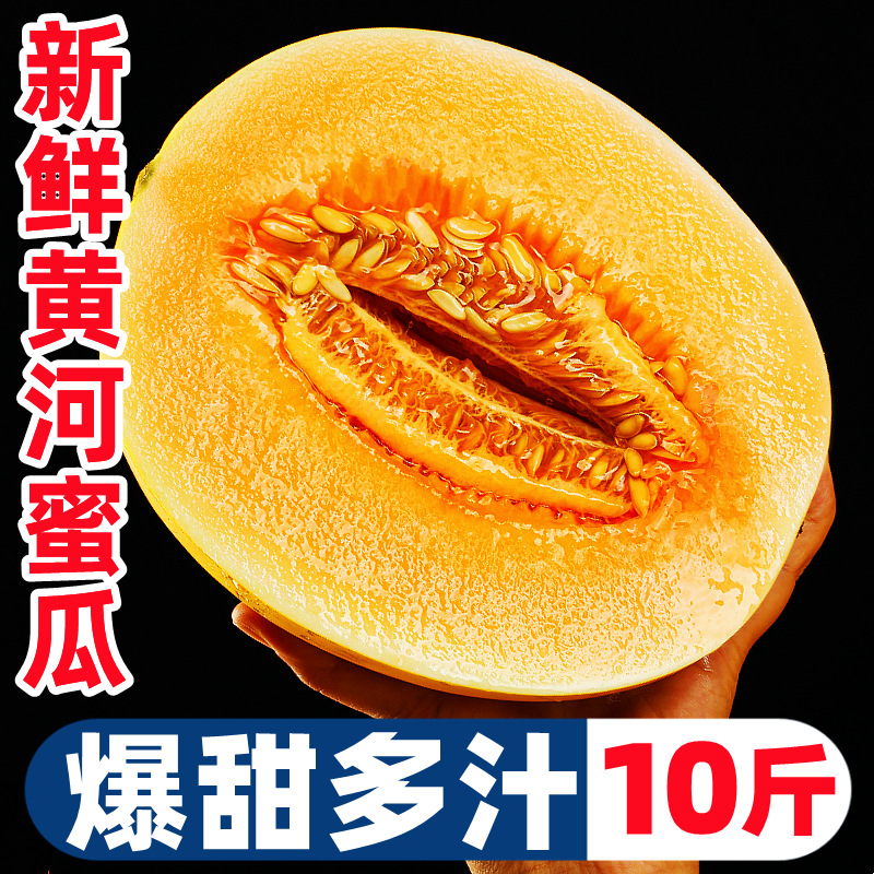 正宗黄河蜜瓜10斤新鲜水果应当季香甜瓜黄金瓜哈密瓜玉菇阎良甜瓜