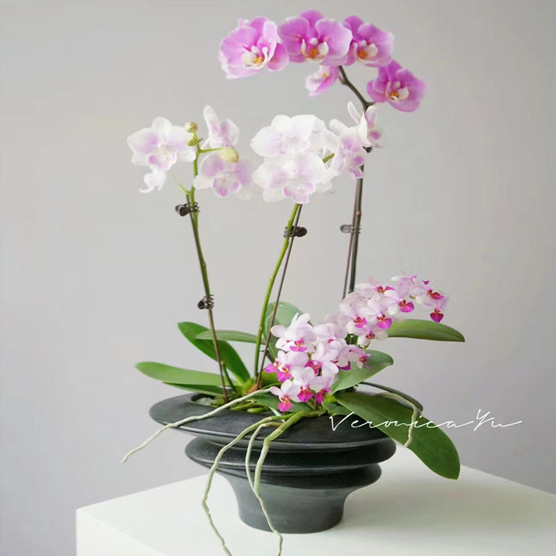 外贸款创意设计插花艺术花器前台桌面蝴蝶兰绿植组合陶瓷花盆