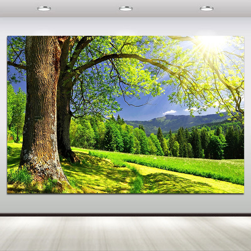 阳光树木树林装饰画现代简约客厅餐厅挂画卧室大树自然风景墙壁画