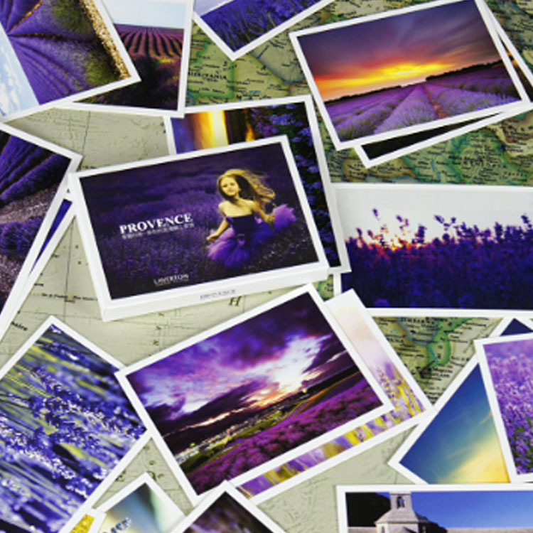 法国巴黎风景明信片唯美贺卡 熏衣草普罗旺斯紫色名信片明星卡片