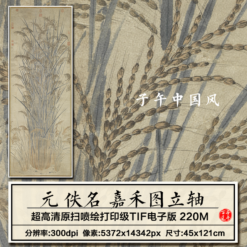 元朝佚名嘉禾图轴古代水稻粮食丰收字画装饰临摹高清电子图片素材