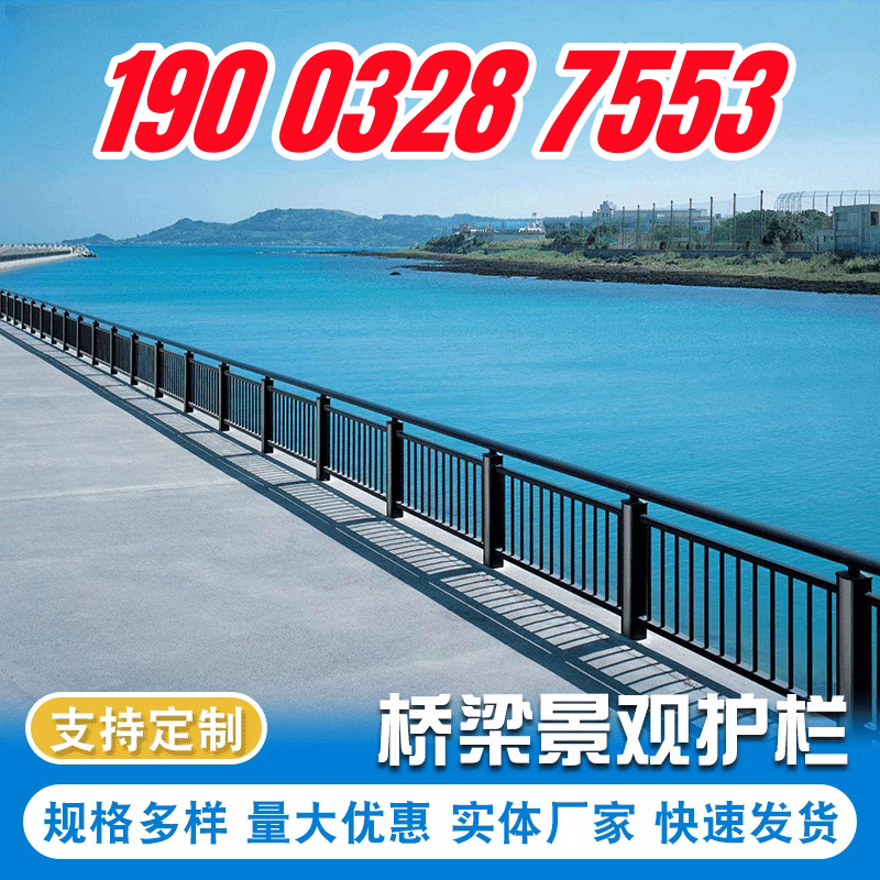 青岛桥梁河道护栏公园景观灯光防护栏立柱式防撞隔离围栏天桥栏杆