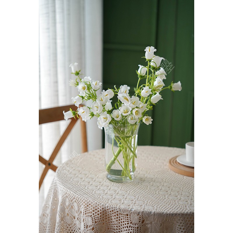 花曌 新鲜白色风铃花鲜花水养家用鲜花插花真花时令花材全国顺丰