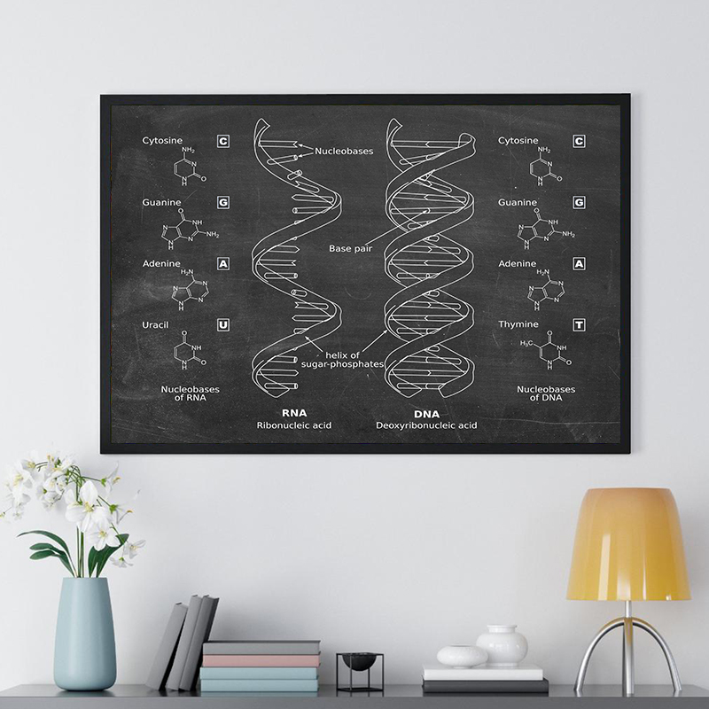DNA化学序列教学复古怀旧海报教具创意生物实验室背景壁挂装饰画