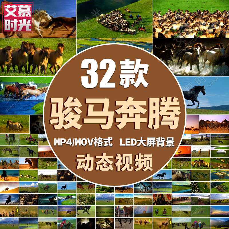蒙古草原马群图片