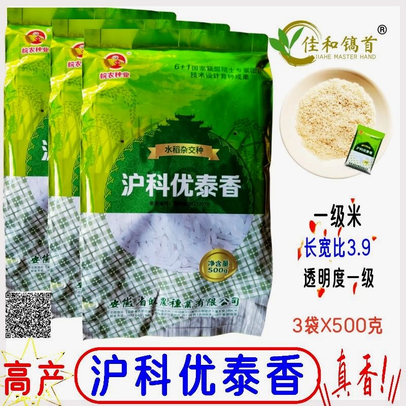 沪科优泰香香稻清香杂交水稻新种子一级米细长高产国审全新籽正品
