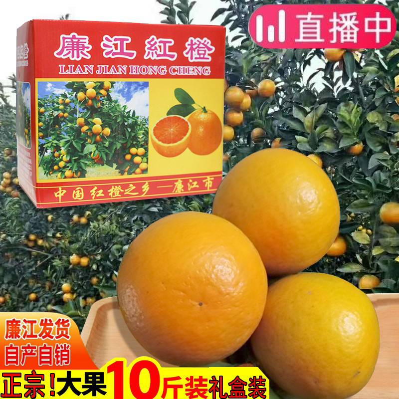 正宗廉江红橙红江橙子新鲜特产现摘水果红江农场5斤装10斤礼盒装