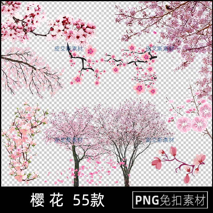 png免抠手绘樱花树卡通植物唯美手绘桃花树枝插画PS设计素材