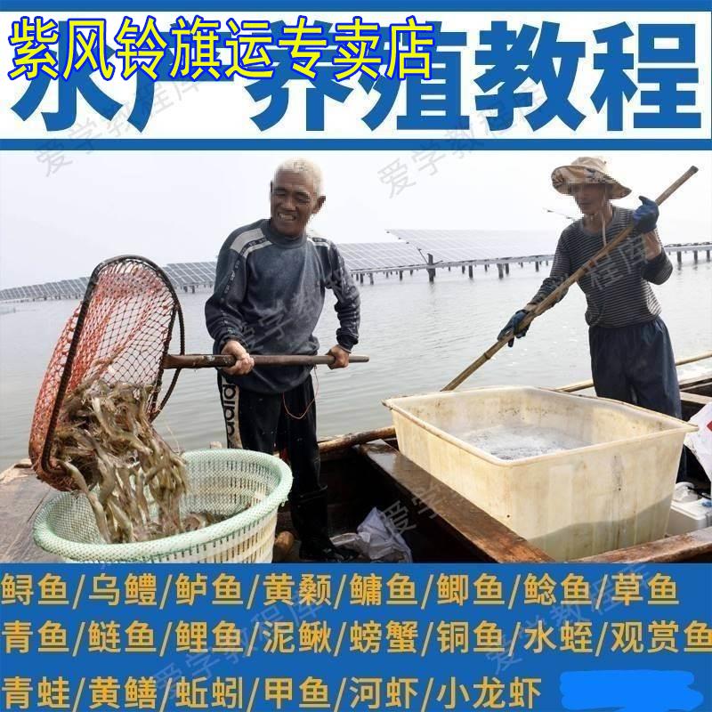 水产养殖技术视频教程u盘水蛭黄鳝螃蟹龙虾泥鳅鱼饲养管理方法U盘