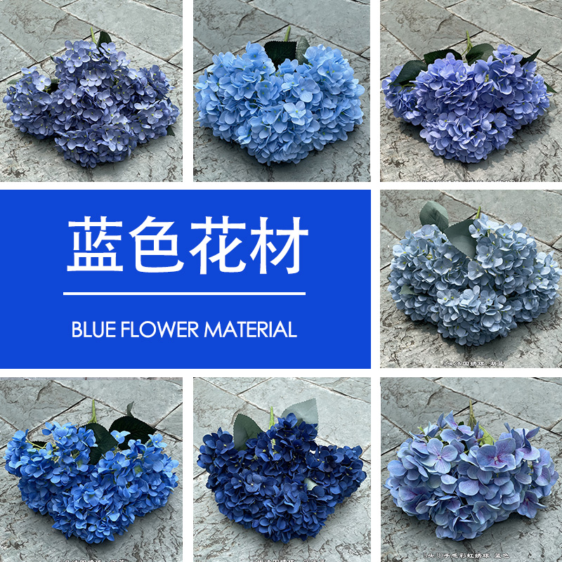 蓝色海洋花