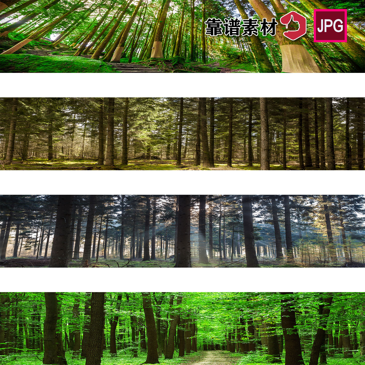 长景图绿色树林森林阳光照射风景装饰画高清背景图片设计素材
