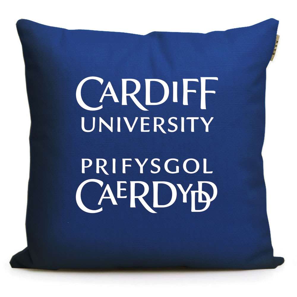 新款英国名校周边 卡迪夫大学纪念品留学生礼品印校徽LOGO沙发抱