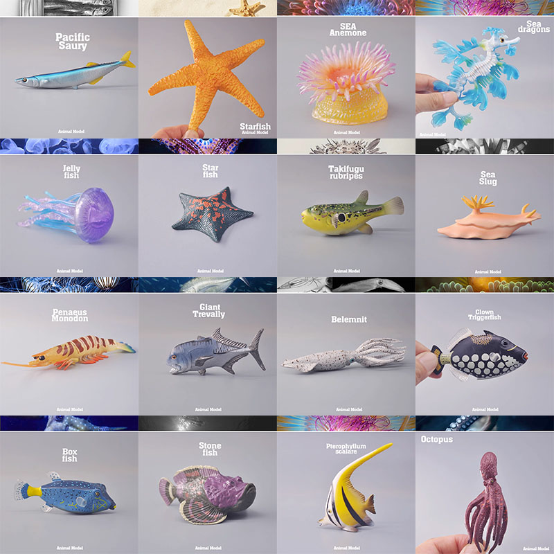 外单正品 正版仿真动物模型 野生海洋动植物海底世界 儿童玩具