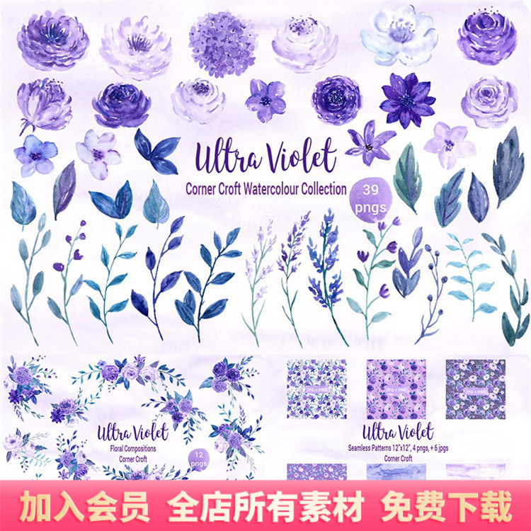 水彩紫罗兰花卉花束背景鲜花花枝PNG免扣包装图案设计PS素材