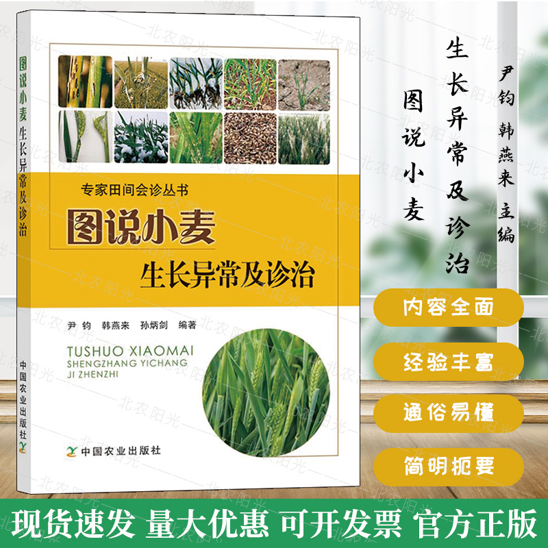 图说小麦生长异常及诊治 农作物种植玉米种植技术 中国农业出版社种植书籍大全 小麦农业种植技术大全书 9787109241299