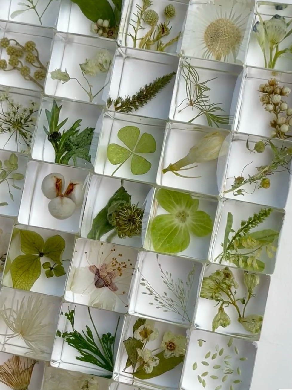 手工滴胶植物方块标本硅胶模具干花种子琥珀立体标本制作展示材料