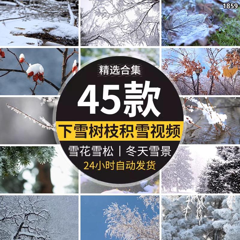 唯美冬季自然风景色下雪冬天雪景雪花树枝积雪压枝头特写视频素材
