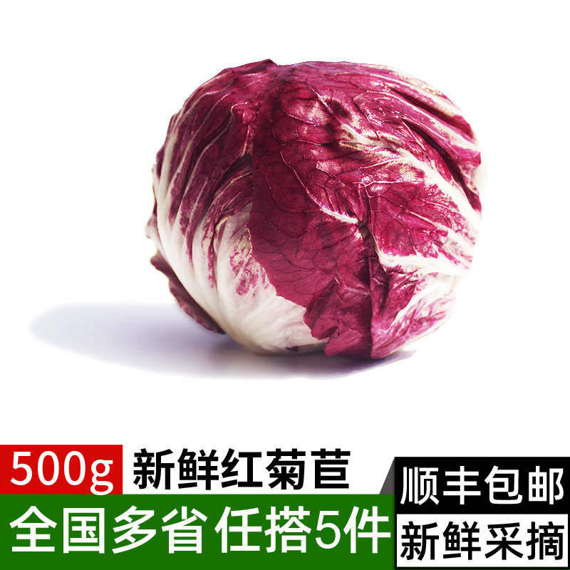 新鲜红菊苣500g 紫苣落地球生菜 蔬菜沙拉食材西餐配菜 满5件包邮