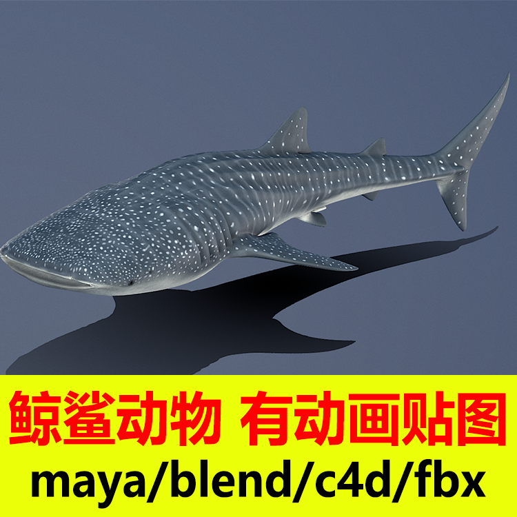 c4d动物模型有骨骼绑定 blender鱼摆动尾巴游泳动画maya 3D模型