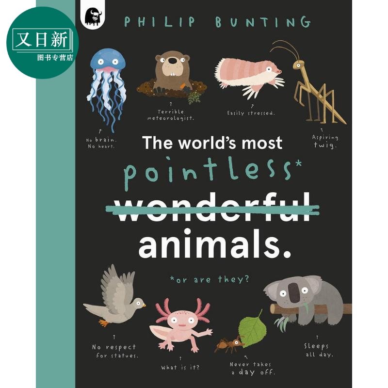 预售 Philip Bunting:The World's Most Pointless Animals Or are They? 世上至没用的动物 科普诙谐古怪 插图色彩丰富 动物知识?
