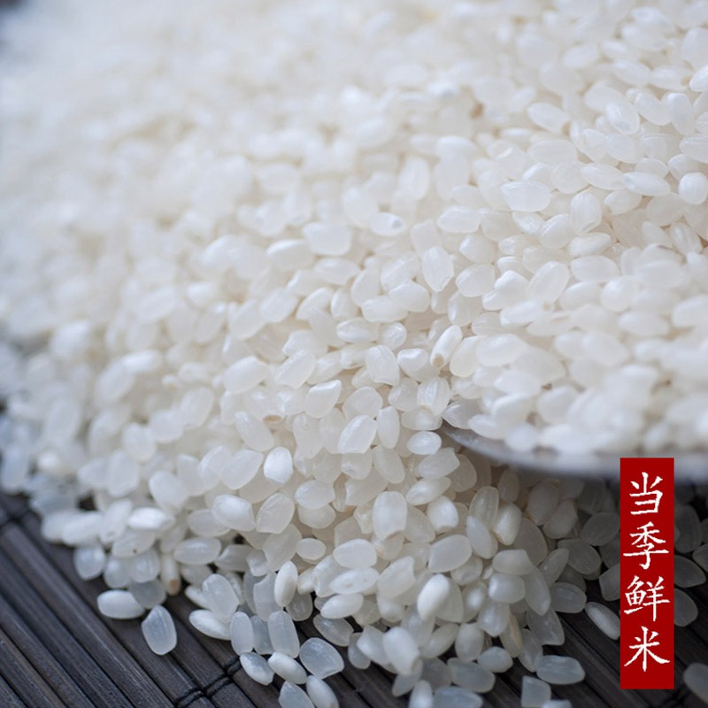 【太湖珍珠米】新米大米50斤 香米晚粳米包邮宝宝粥饭米 软糯清香
