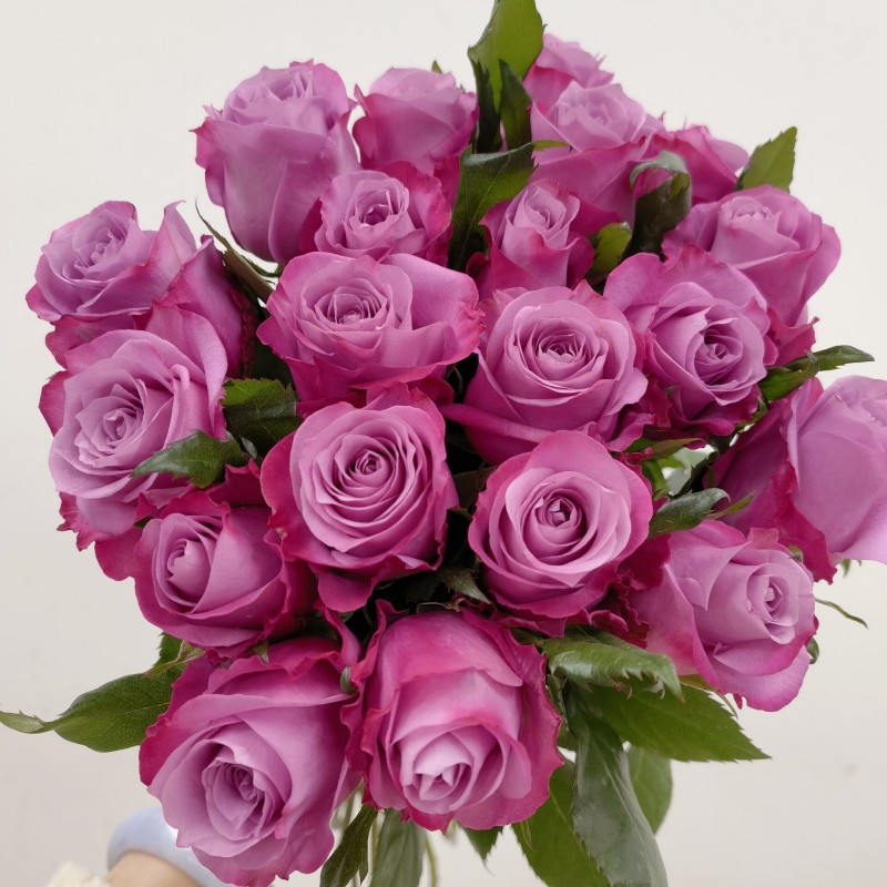 魅影玫瑰花紫色系水养月季花生日礼物插花情人节鲜花昆明基地直发