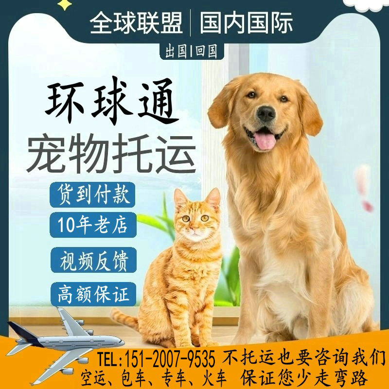 补运费宠物托运服务全国猫咪狗狗空运火专车汽运北京上海国际邮寄