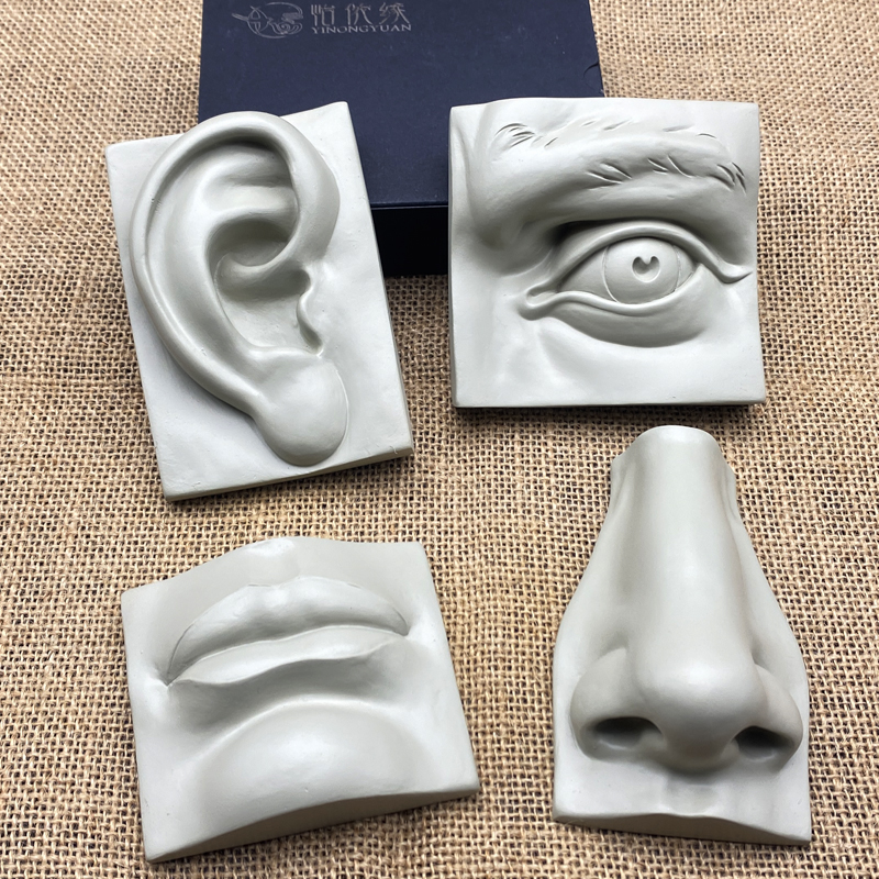 人体五官模型石膏像素描美术教具美术用品树脂头像实面切面画室